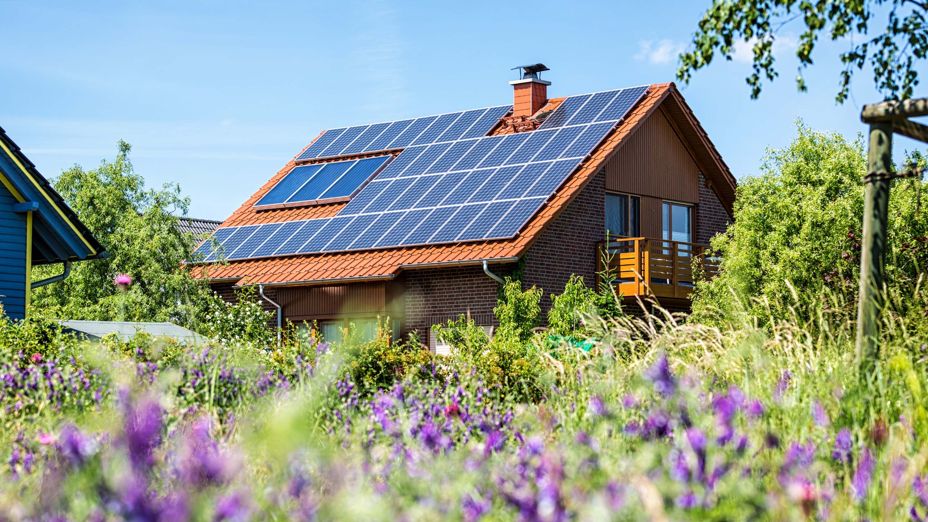 solar panels 1