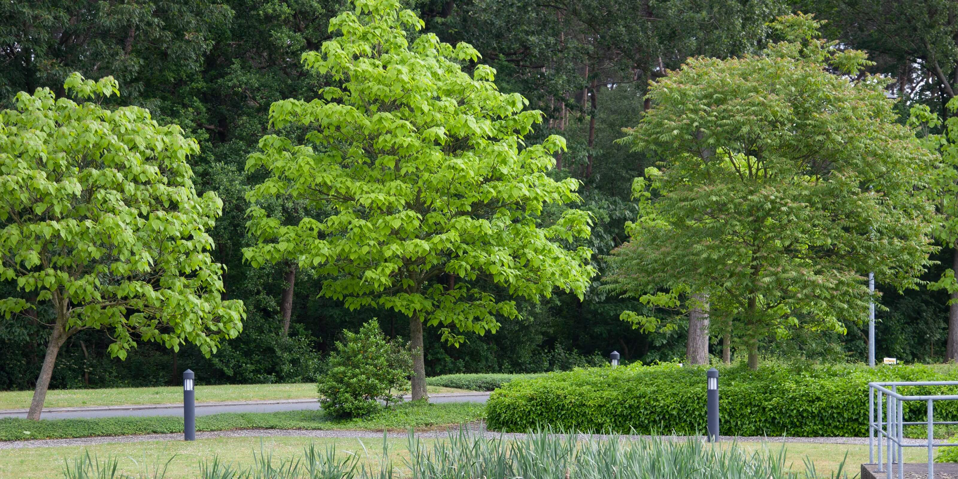 Niko duurzaam ondernemen - VOKA milieucharter