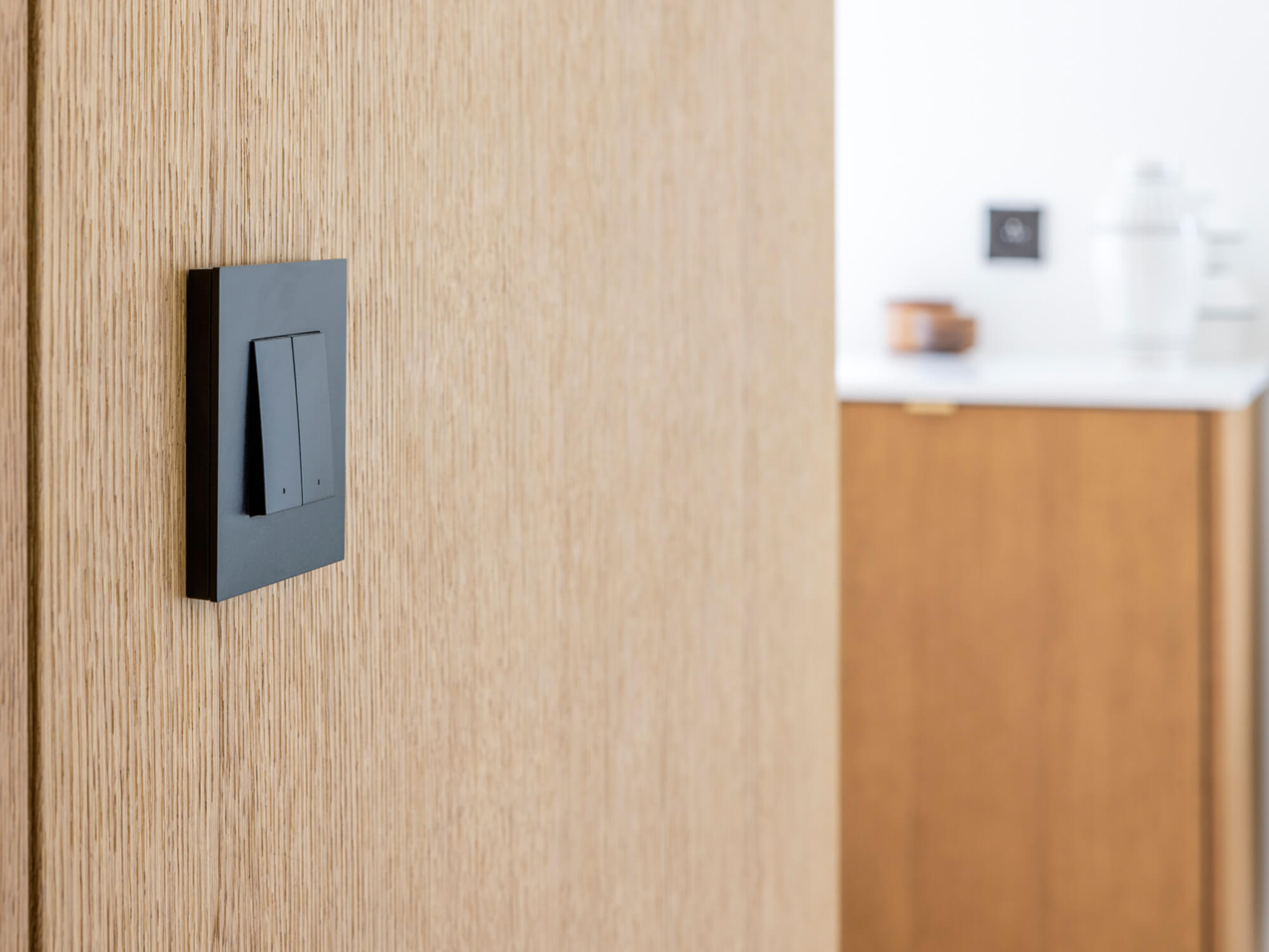 Niko switch with two buttons