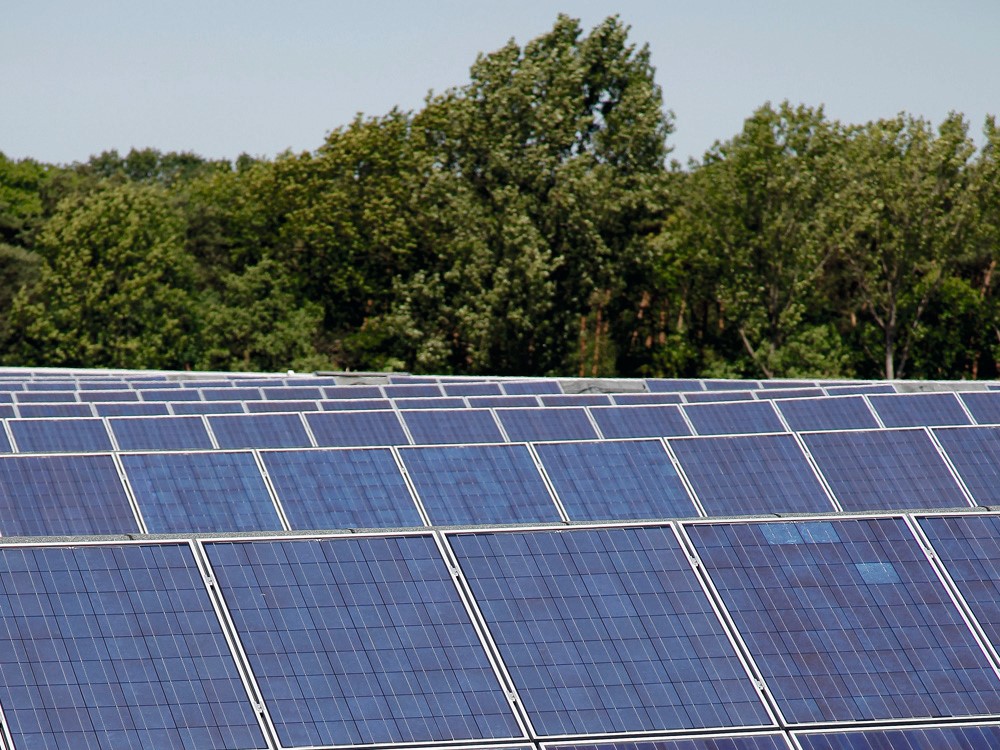 Niko zonnepanelen, SDG Pioneer Certificate