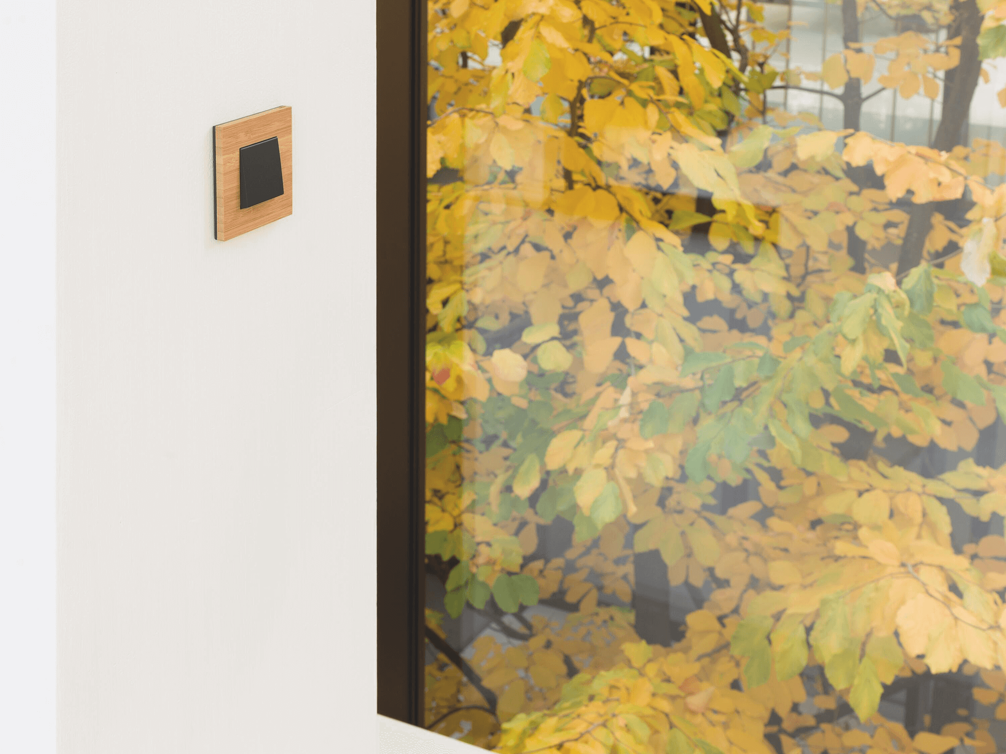 hoe schakelaars en stopcontacten met steekklemmen installeren? 