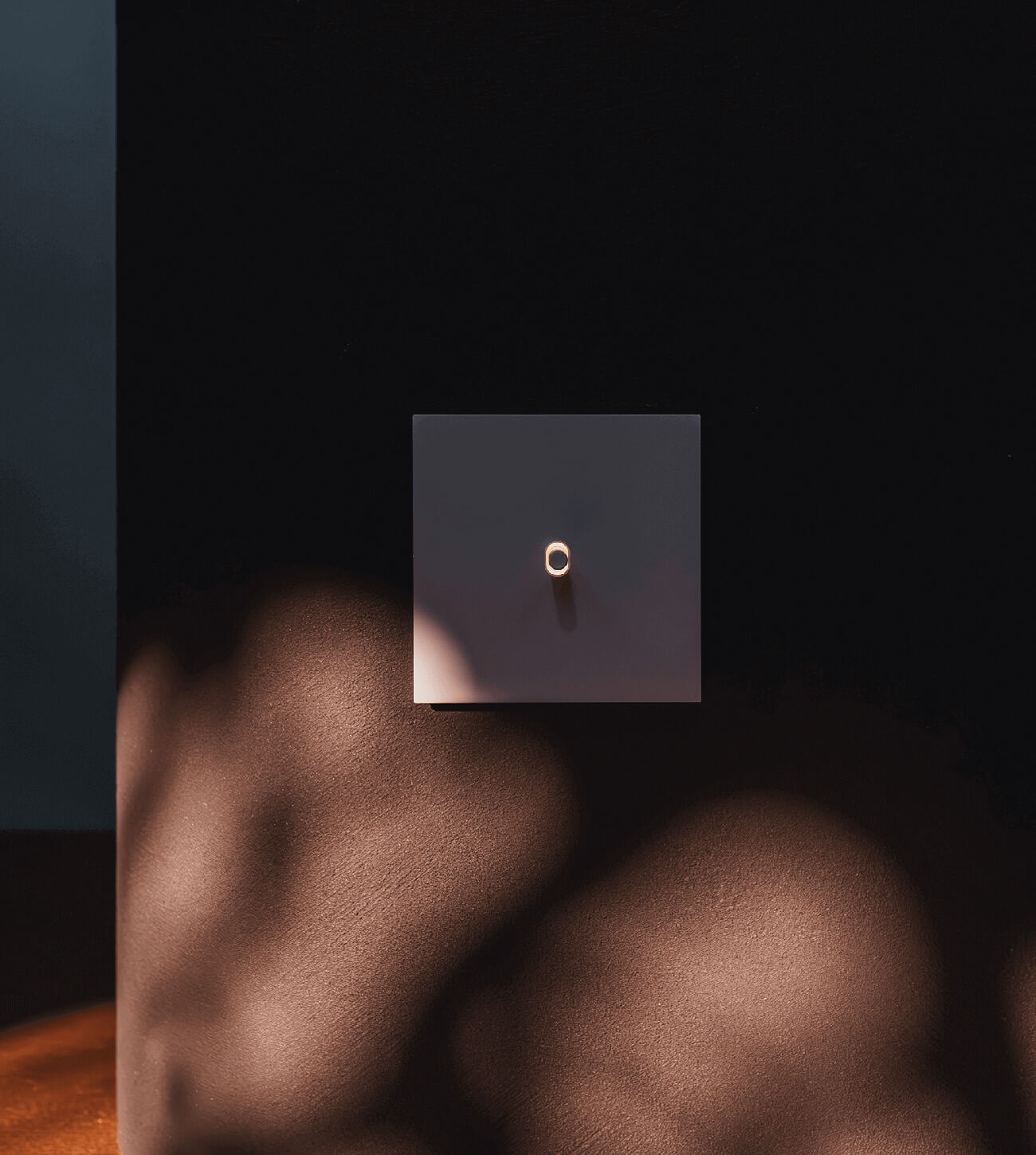 Niko Rocker &amp; Niko Toggle for Niko Home Control