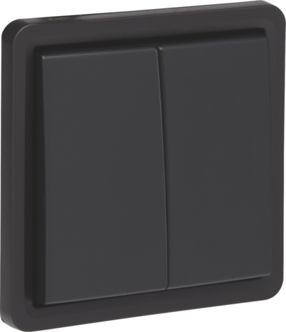 nikoページ Splashproof two-circuit switch 10 AX/250 Vac with plug-in