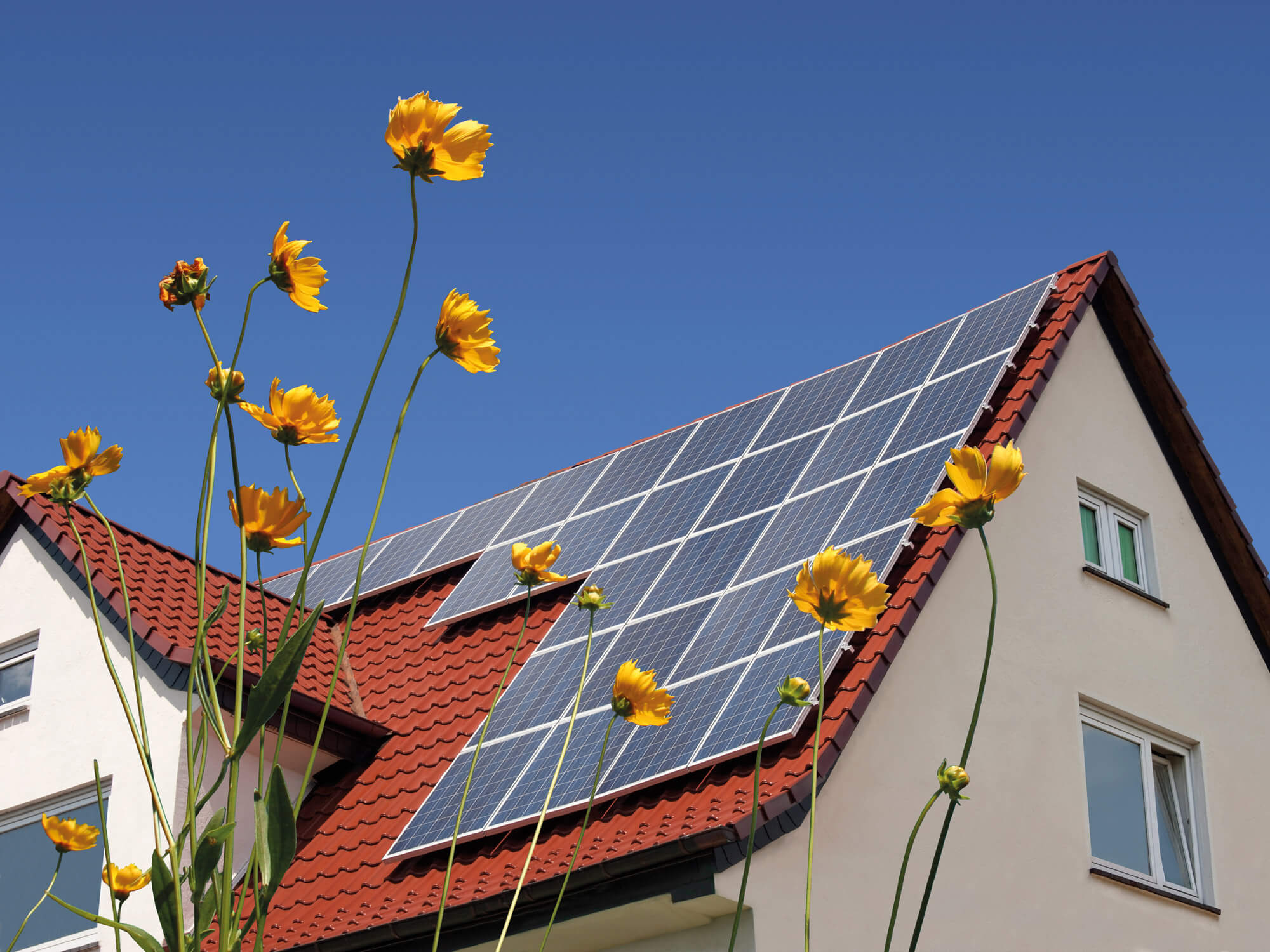 Niko home control, huisautomatisering en domotica met zonnepanelen