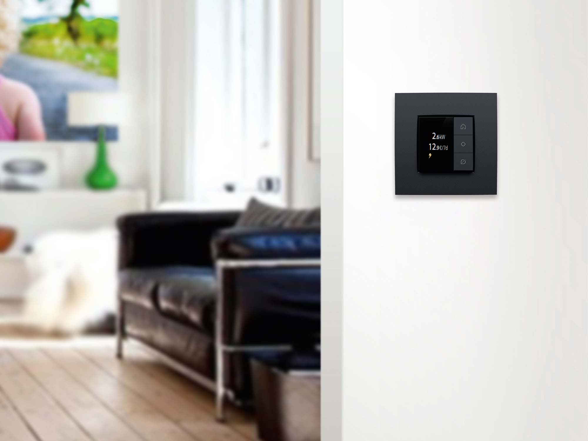 NHC Living room eco display 